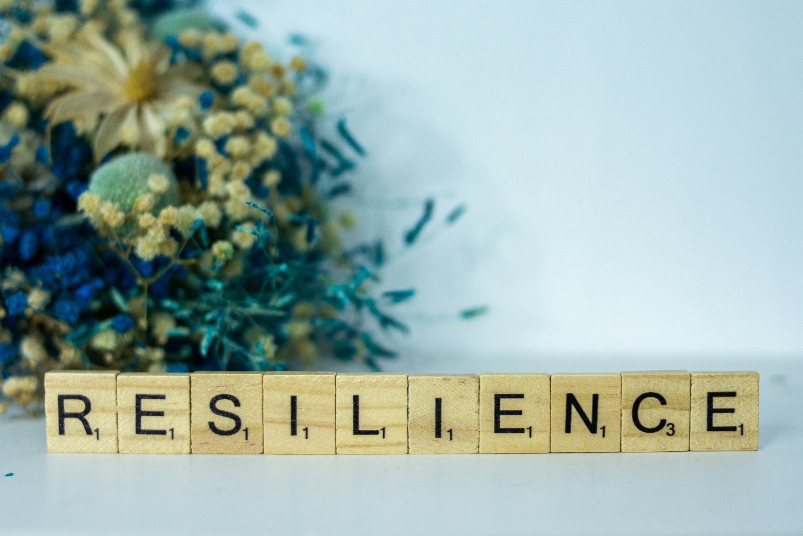 Operational Resilience Building Strong Systems That Thrive in Changing Times